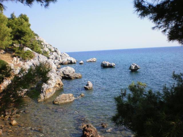 Studios Rosa Agia Paraskevi  Buitenkant foto
