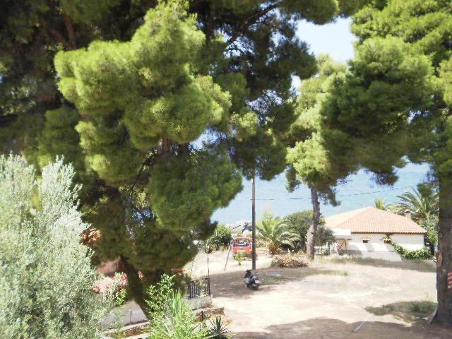 Studios Rosa Agia Paraskevi  Buitenkant foto