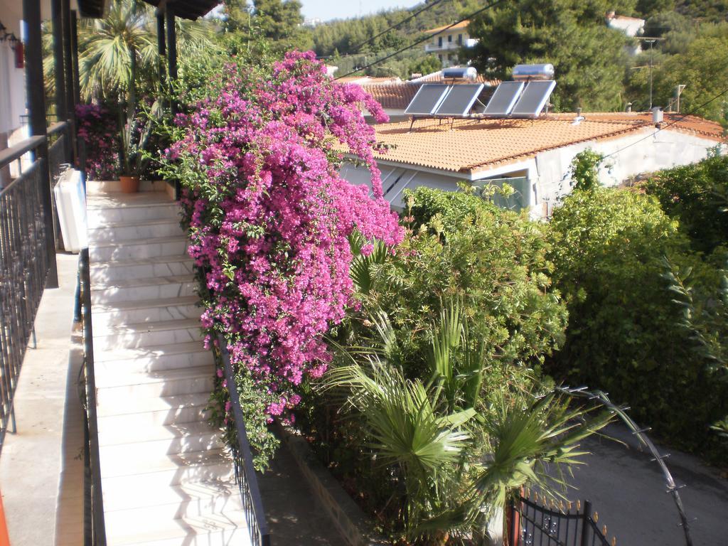 Studios Rosa Agia Paraskevi  Buitenkant foto